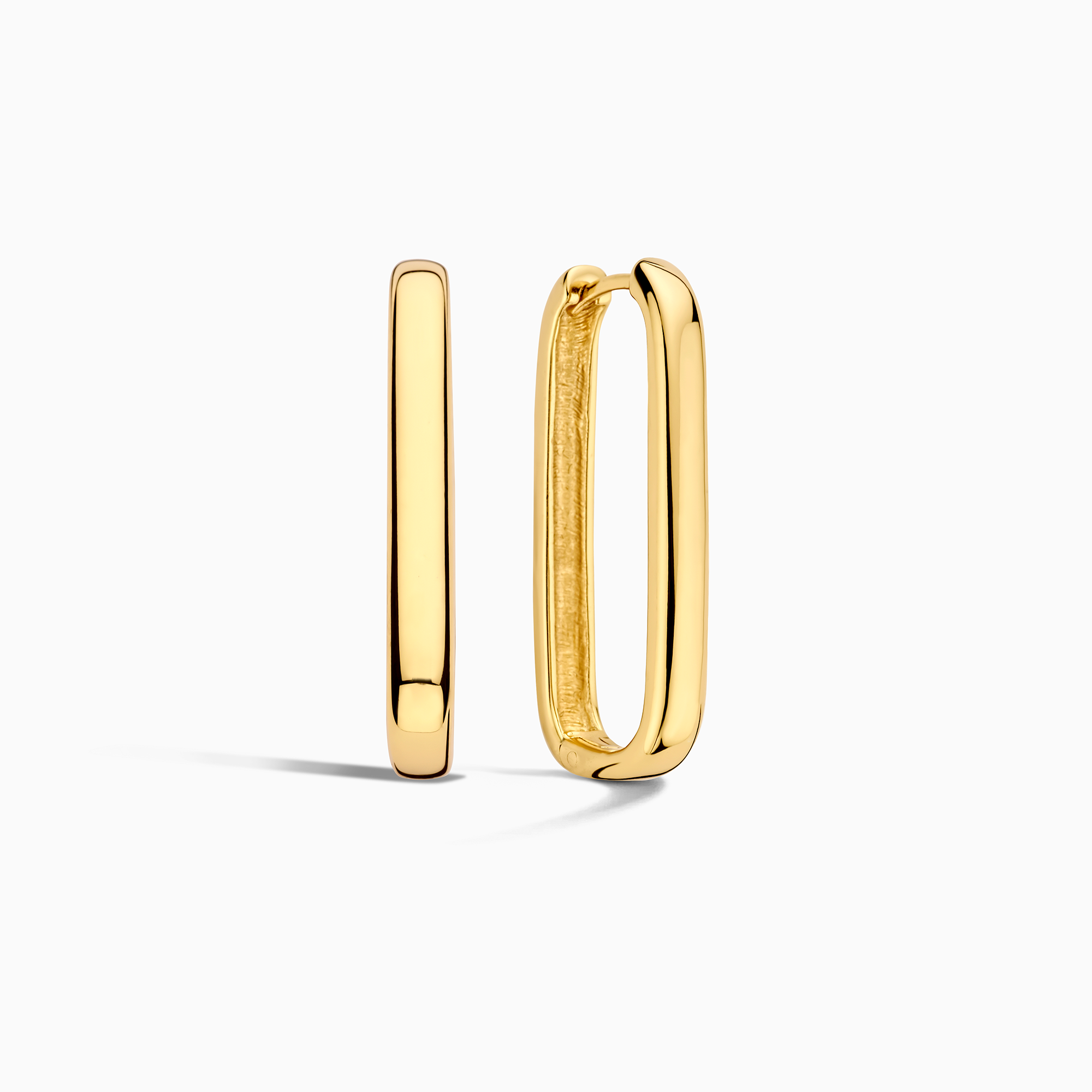 Elegant Icon Golden Hoops
