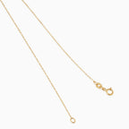 Zodiac Sign Classic Necklace