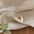 Lustrous Silver Gold Heart Necklace