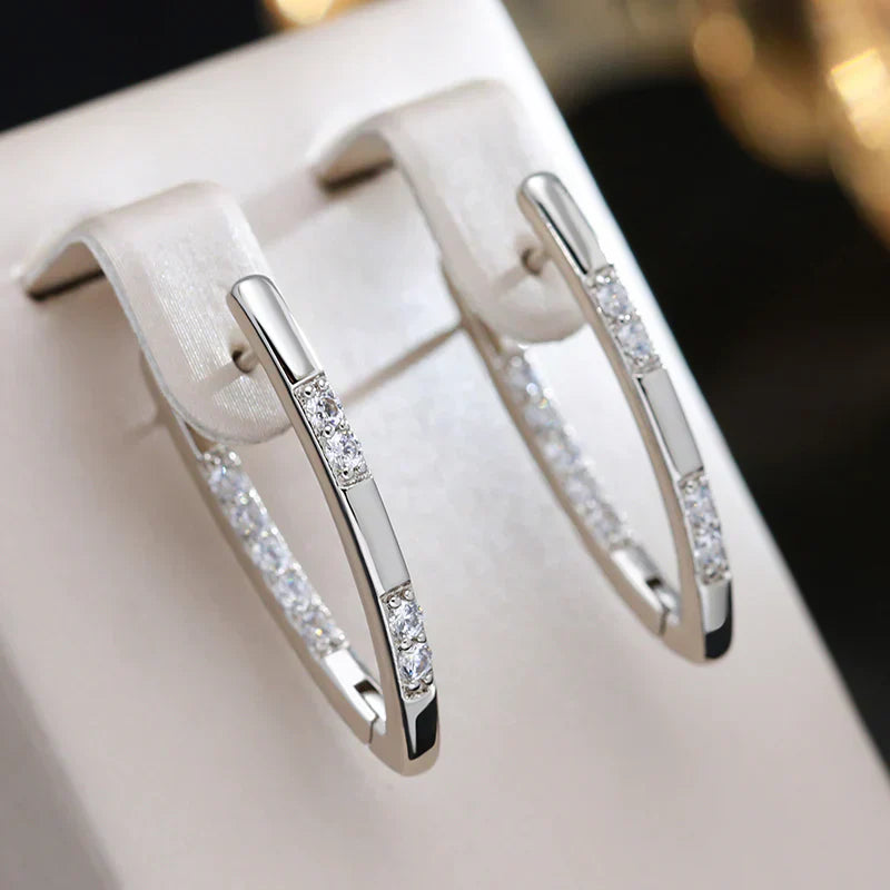 Exquisite Zircon Drop Earrings